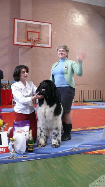 Фотография № 24902