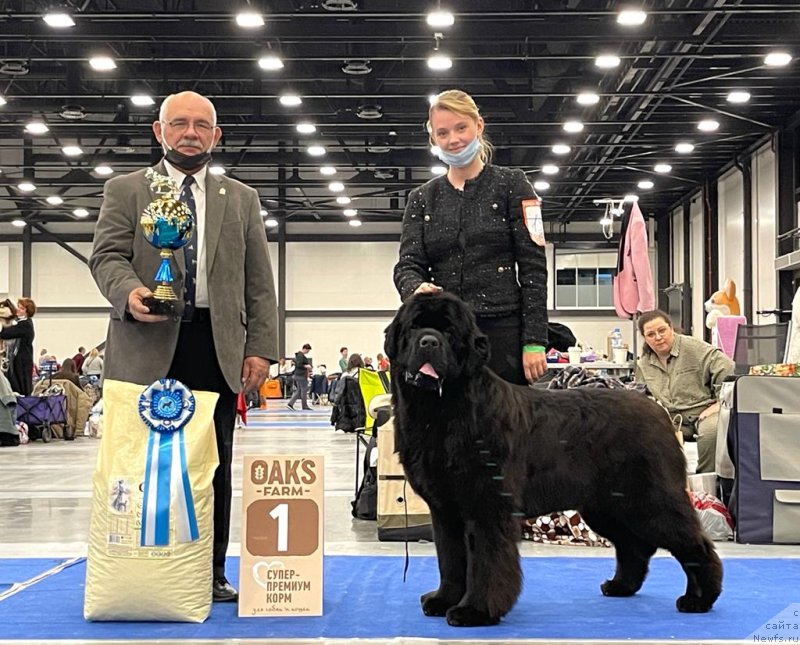 Фотография № 249031