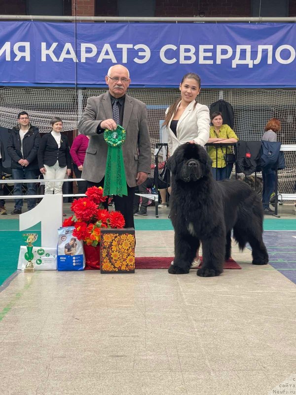 Фотография № 249032