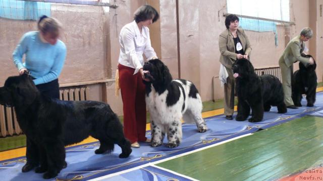 Фотография № 24905