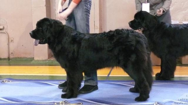 Фотография № 24906