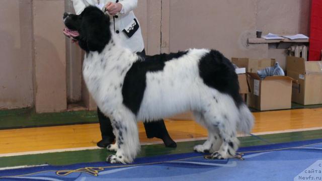 Фотография № 24908