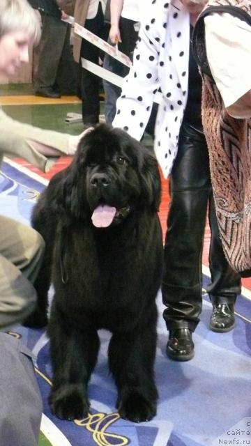 Фотография № 24909