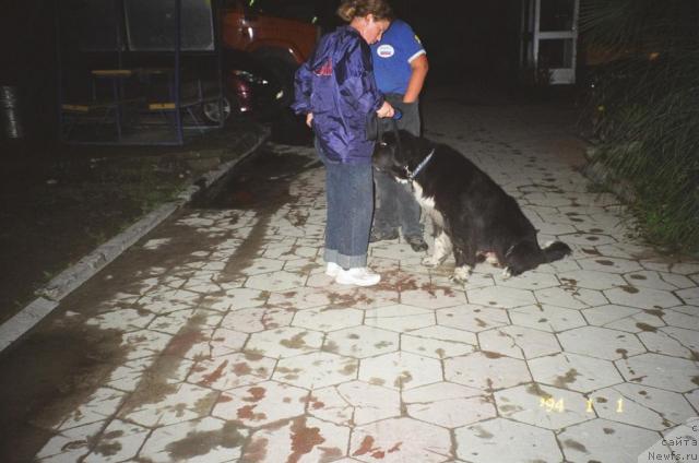 Фотография № 24916