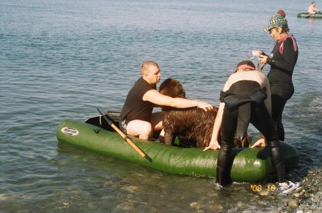 Фотография № 24919