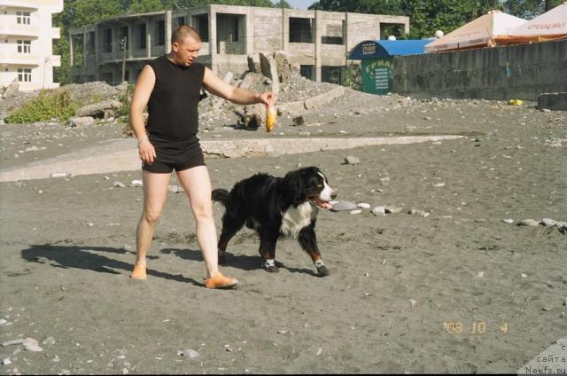 Фотография № 24923