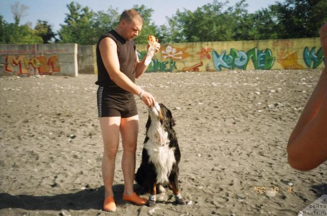 Фотография № 24924