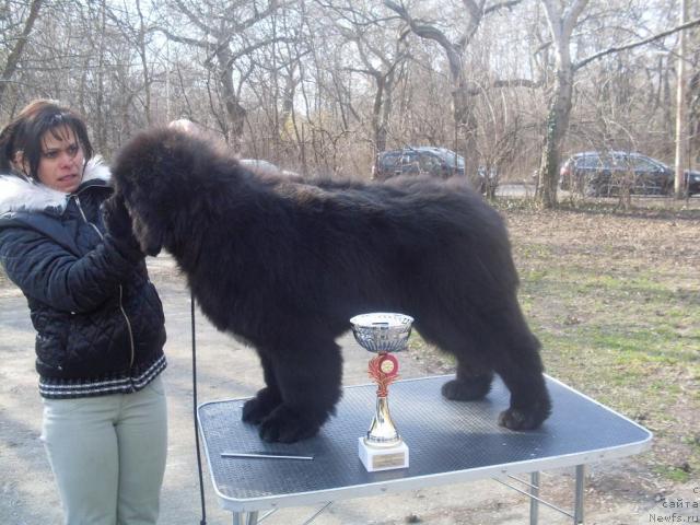 Фото: ГОРДОН и БРИГИ