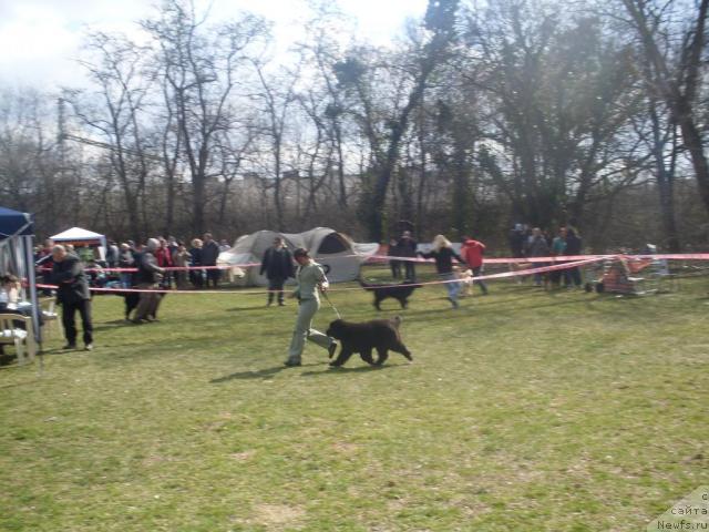 Фото: Гордон и Бриги в ринге.