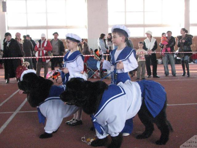 Фотография № 24953