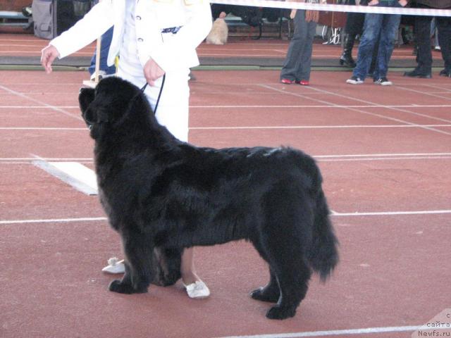 Фотография № 24954