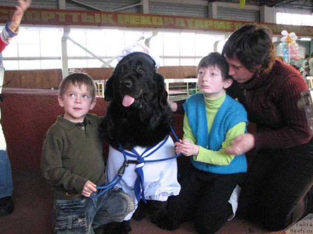 Фотография № 24957