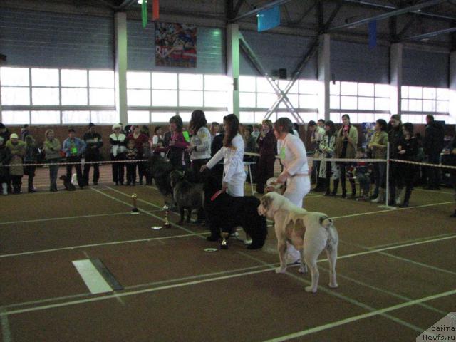 Фотография № 24958