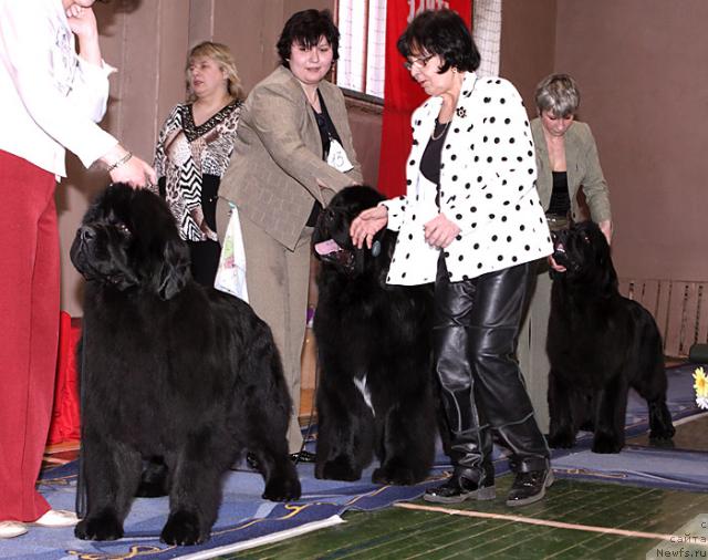 Фотография № 24978