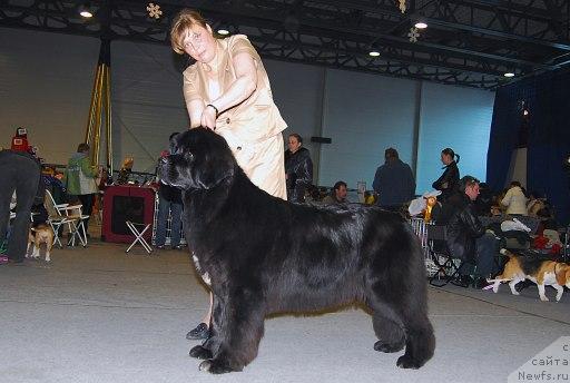 Фотография № 25013