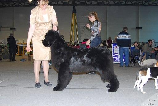 Фотография № 25017