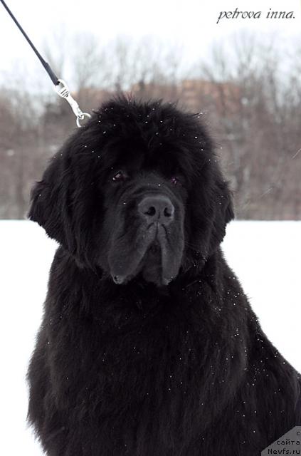 Фотография № 25020