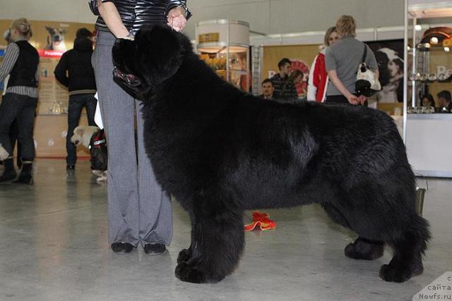 Фотография № 25021