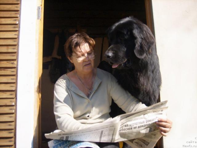 Фото: Galina Kornilova (Галина Корнилова), ньюфаундленд T'en Bo (Тьен Бо)