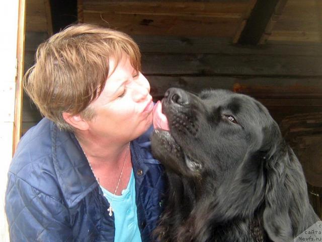 Фото: Galina Kornilova (Галина Корнилова), ньюфаундленд T'en Bo (Тьен Бо)