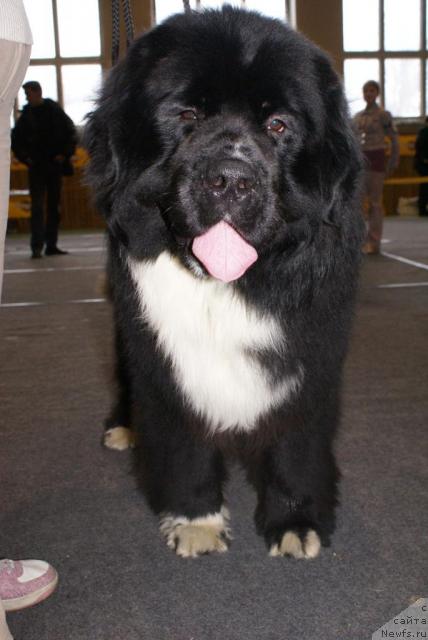 Фотография № 25073