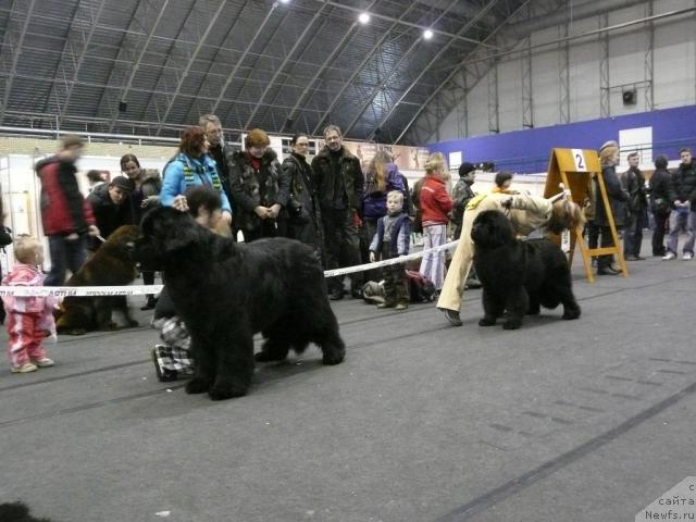 Фото: Destellon Rio-O-Hoi, Rogneda Vialiki Miadzvedz