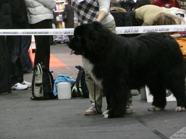 Фотография № 25092