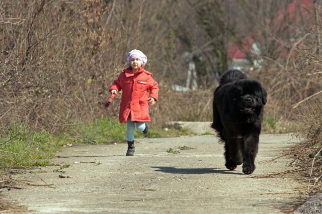 Фотография № 25094