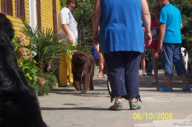 Фотография № 25101