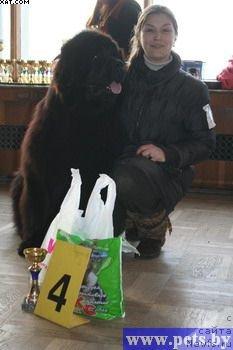 Фото: ньюфаундленд Anri (Анри)