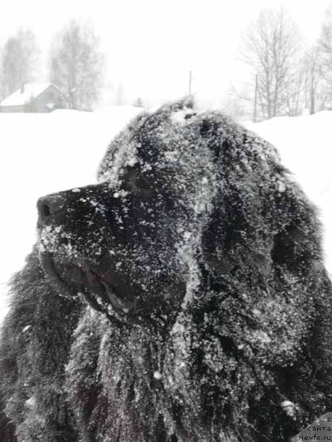 Фотография № 25111