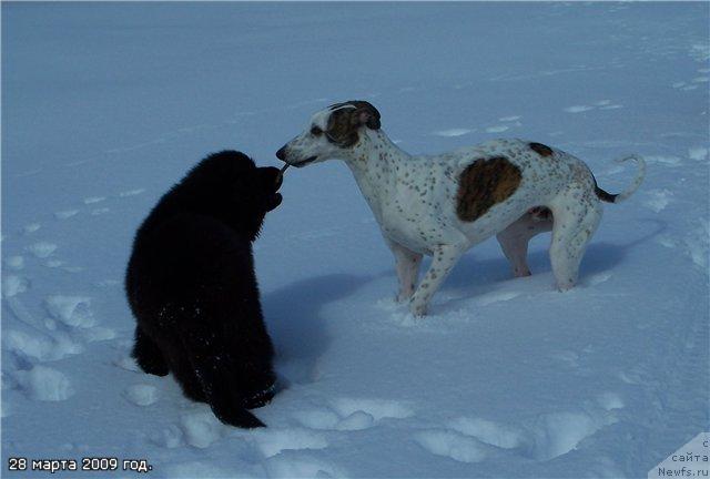 Фото: Сент Джонс Рокко Стелла ди Сант Эрамо