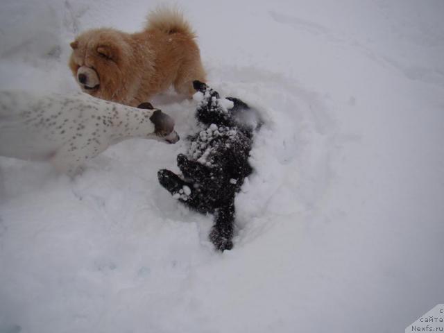 Фото: Сент Джонс Рокко Стелла ди Сант Эрамо