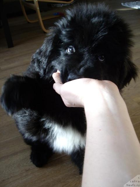 Фото: Dmitriy Erofeev (Дмитрий Ерофеев)