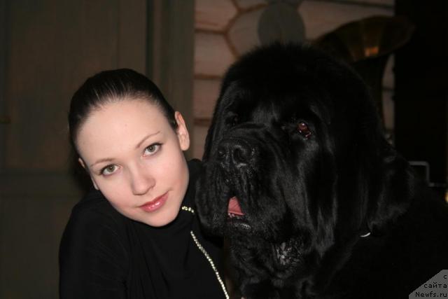 Фото: ньюфаундленд King of Helluland Valmont, Ekaterina Smoryigo (Екатерина Сморыго)