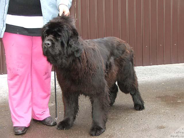 Фотография № 25231