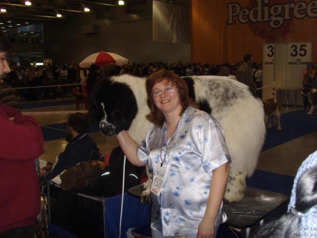 Фото: ньюфаундленд Kloofbears Lancelot for Sent Djons, YUliya YAstrebova (Юлия Ястребова)