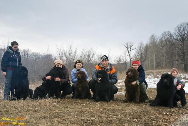 Фото: Nadejda Momot (Надежда Момот), ньюфаундленд Ygan s Toyanova Gorodka (Юган с Тоянова Городка), Elena Tischenko (Елена Тищенко), ньюфаундленд Lesnaya Skazka Raskrasavica (Лесная Сказка Раскрасавица), Svetlana Samarceva (Светлана Самарцева), ньюфаундленд Lesnaja Skazka Korolevskiy Medved (Лесная Сказка Королевский Медведь), Dmitriy Kondrashov (Дмитрий Кондрашов), ньюфаундленд YEra Grand Lyuks CHeri Nikol' (Эра Гранд Люкс Чери Николь), Diana Larina (Диана Ларина), ньюфаундленд Konfuciy (Конфуций), Антон, ньюфаундленд Super Premium Vashington (Супер Премиум Вашингтон)