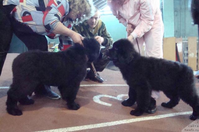 Фотография № 25260