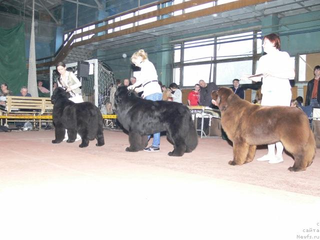 Фотография № 25262