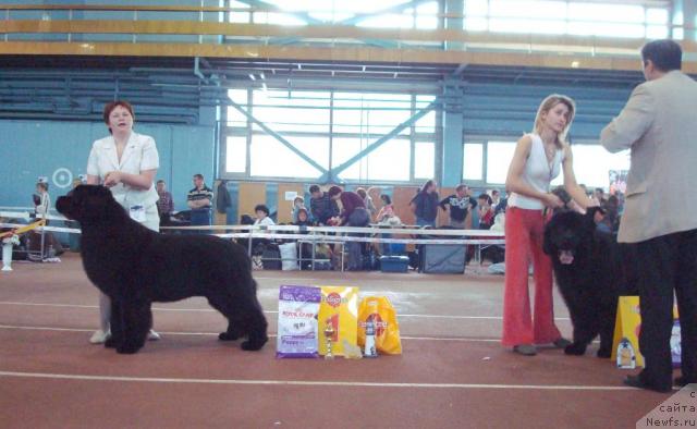 Фотография № 25267