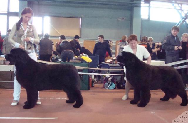 Фотография № 25269