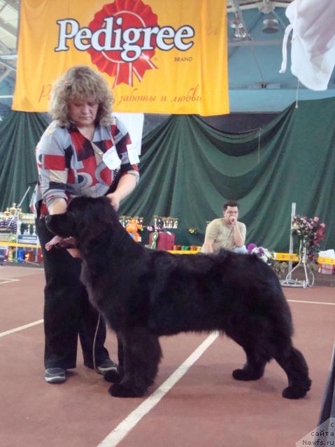 Фотография № 25272