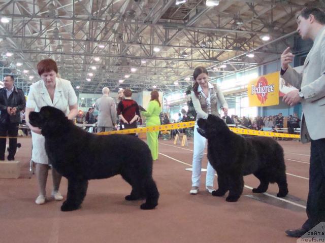 Фотография № 25273