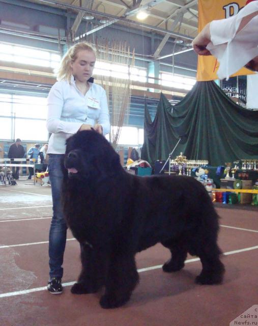 Фотография № 25278