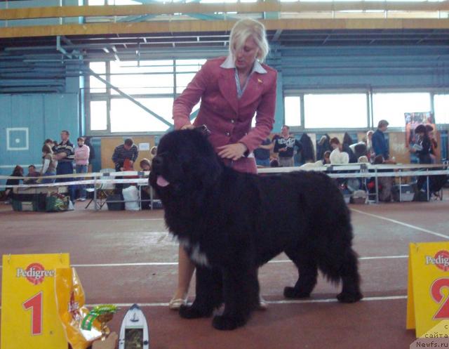 Фотография № 25280