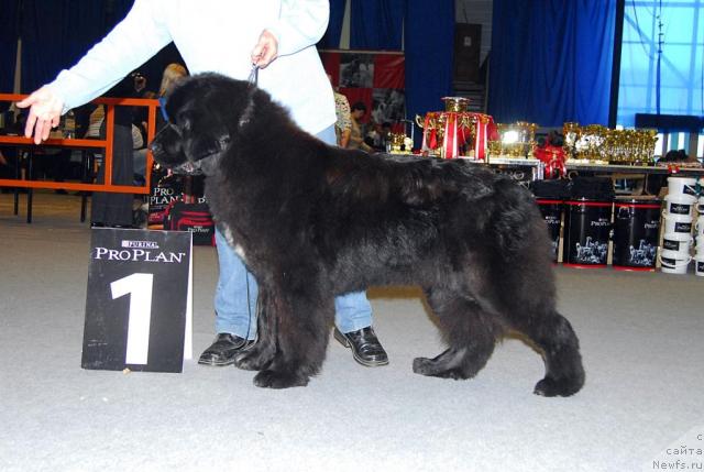 Фотография № 25283