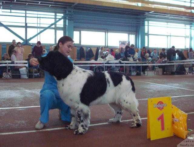 Фотография № 25288