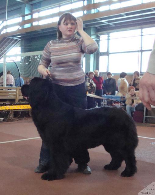 Фотография № 25289