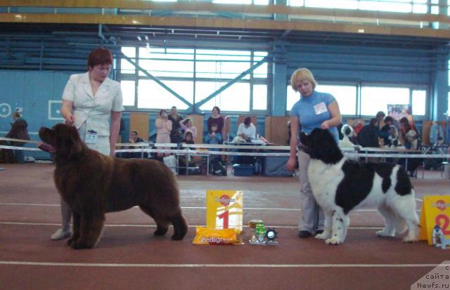 Фотография № 25290